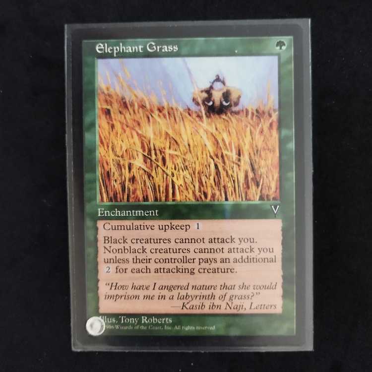 Elephant Grass 1枚