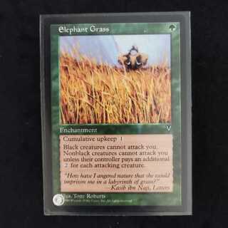 Elephant Grass 1枚