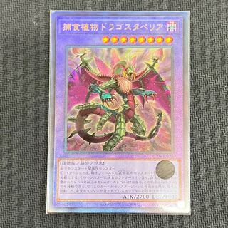 Predaplant Dragostapelia Collector's Rare JP028