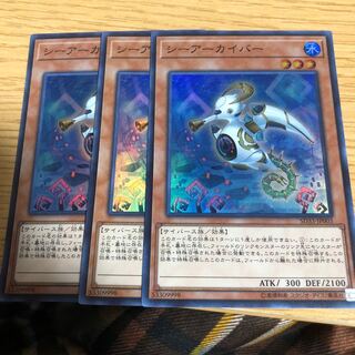 シーアーカイバー SR