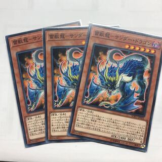 雷獣龍-サンダー・ドラゴン