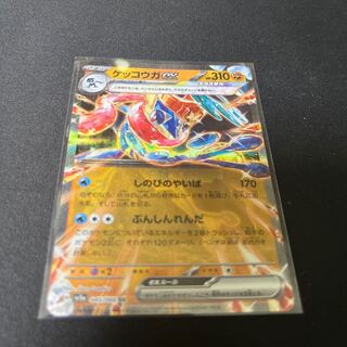Greninjaex RR 045/066