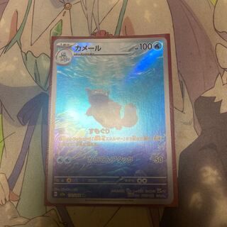 カメール AR 171/165 1枚