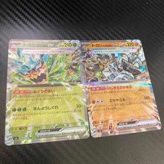 Ogapon Midori-no-men ex RR 016/101