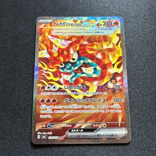 オーガポンかまどのめんex SAR 126/101