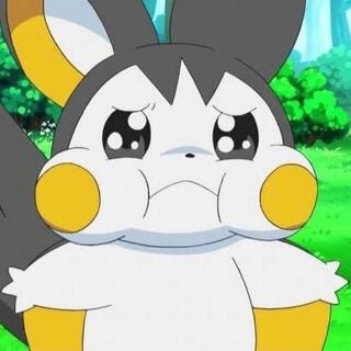 ポケモン募集、