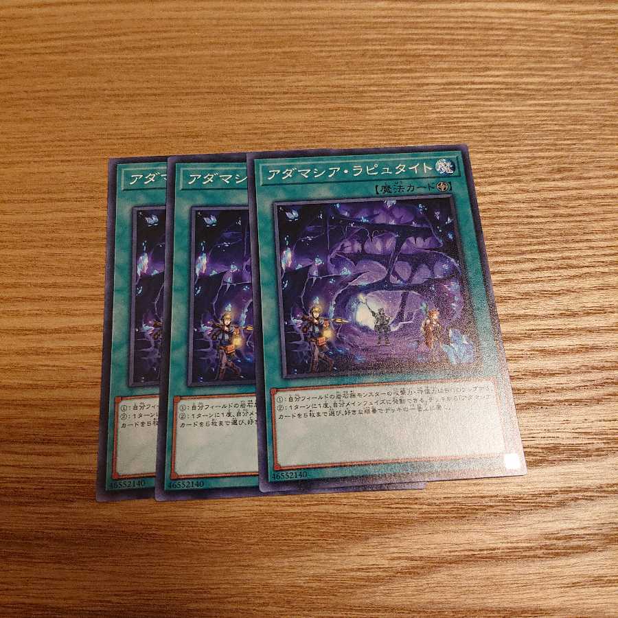 アダマシア・ラピュタイト