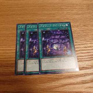 アダマシア・ラピュタイト