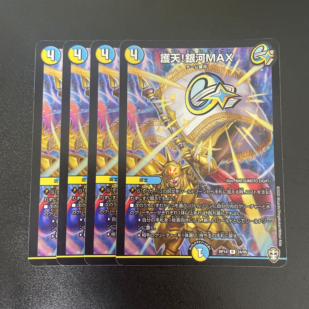 Proten! Ginga MAX R 24/95