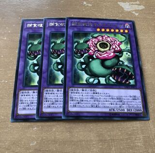 捕食植物キメラフレシア R