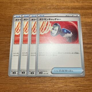 るぴなす様専用 1枚