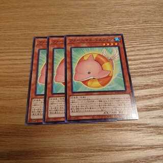 ファーニマルドルフィン