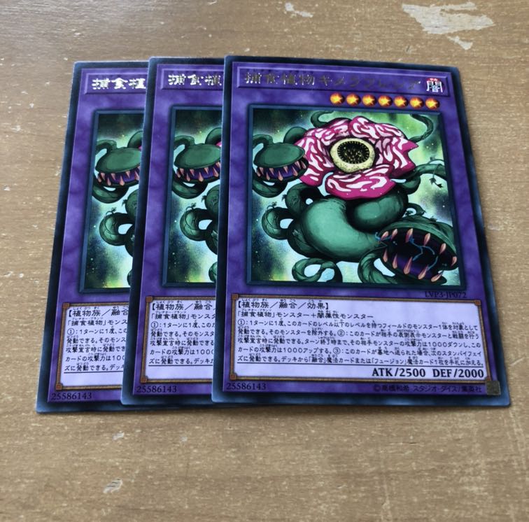 捕食植物キメラフレシア R