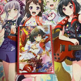 アイシャ  スリーブ