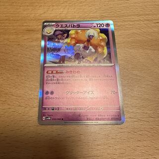 questetra (Hydrobatidae spp.)