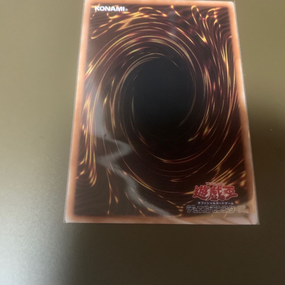 Dragon of Pride and Soul QCSE, 25th Sikh INFO-JP000