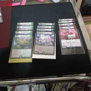 ダークライフ　ベラドマイ　ザンジ