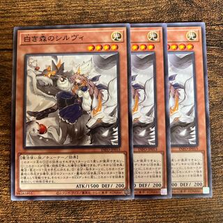 Sylvie of the White Forest Normal INFO-JP015