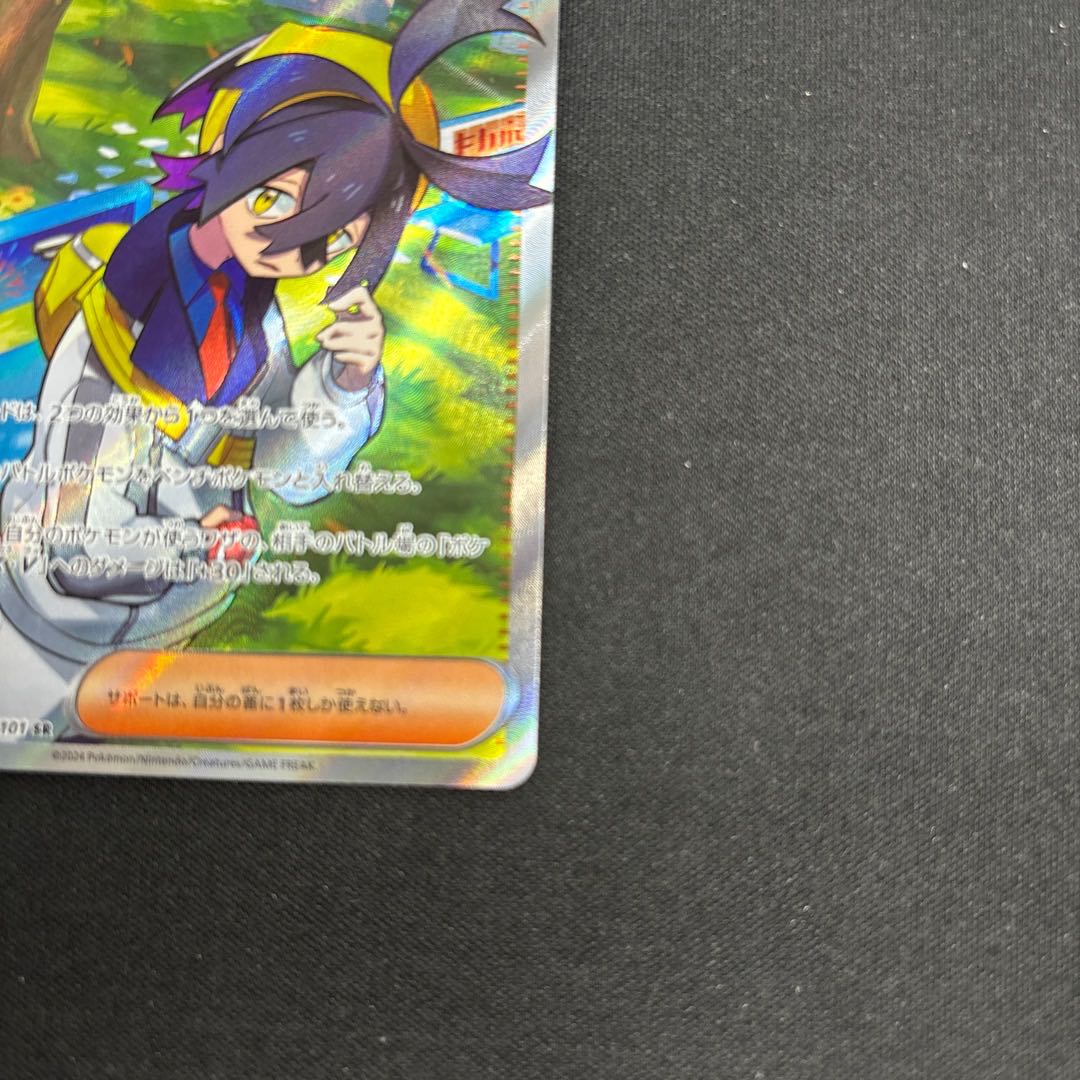 スグリ SR 122/101