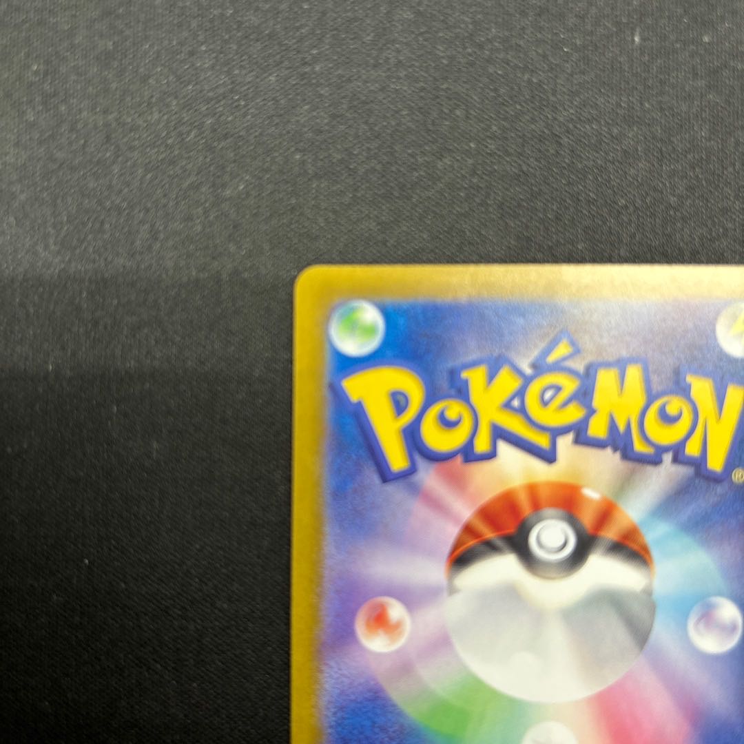 スグリ SR 122/101