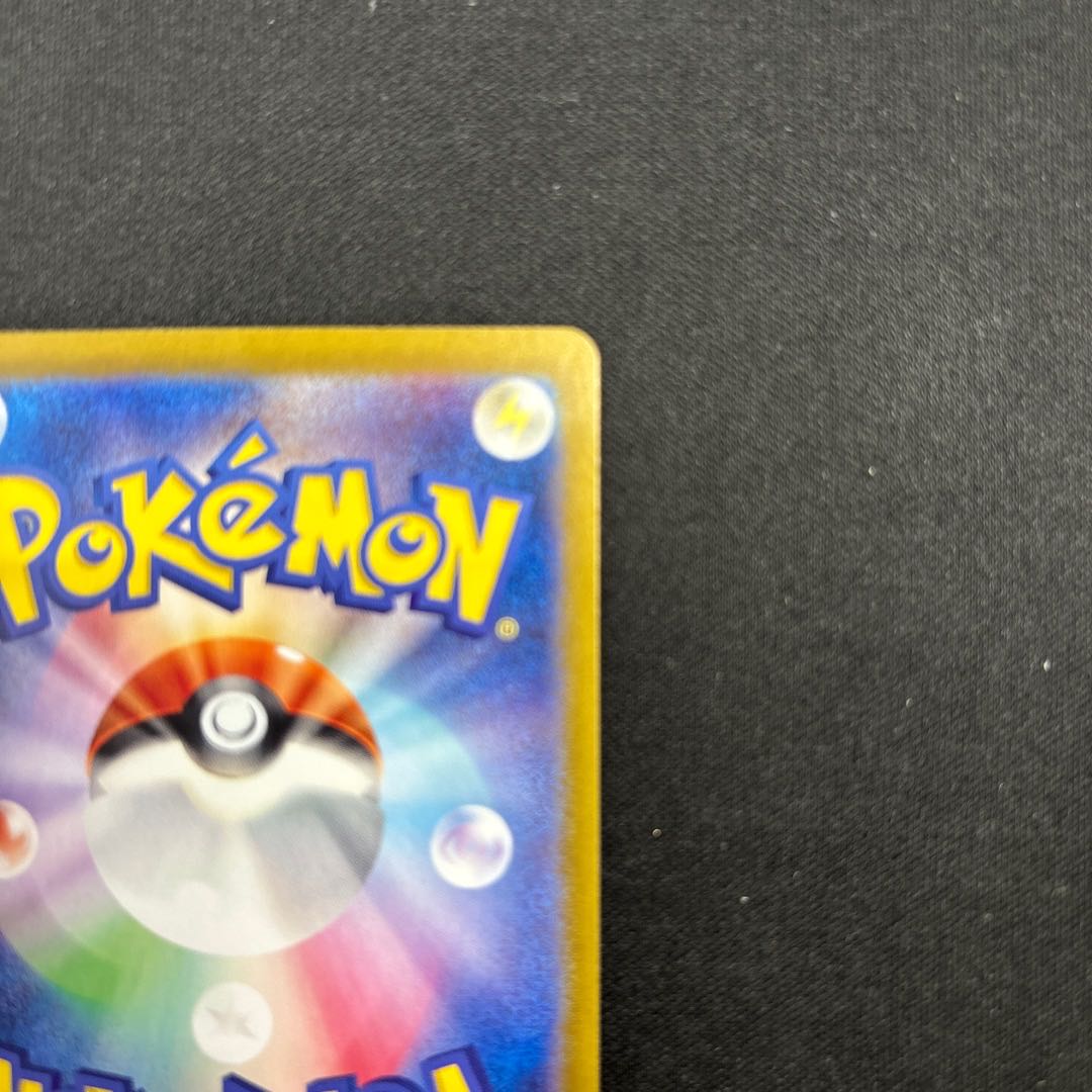 スグリ SR 122/101