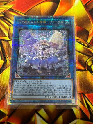 Varmonica's Divine Performance - Vaal QCSE, 25th Sikh INFO-JP049