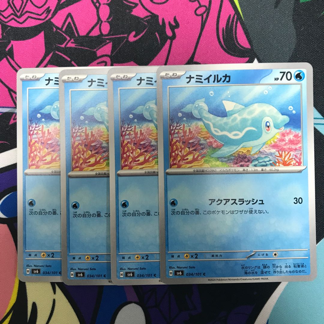 Namibian dolphin C 034/101