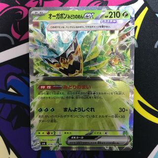 Ogapon Midori-no-men ex RR 016/101