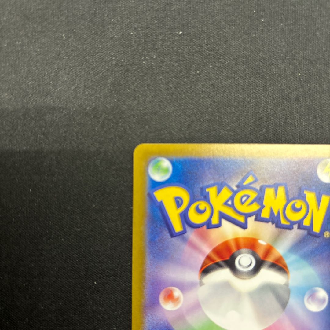 スグリ SAR 129/101