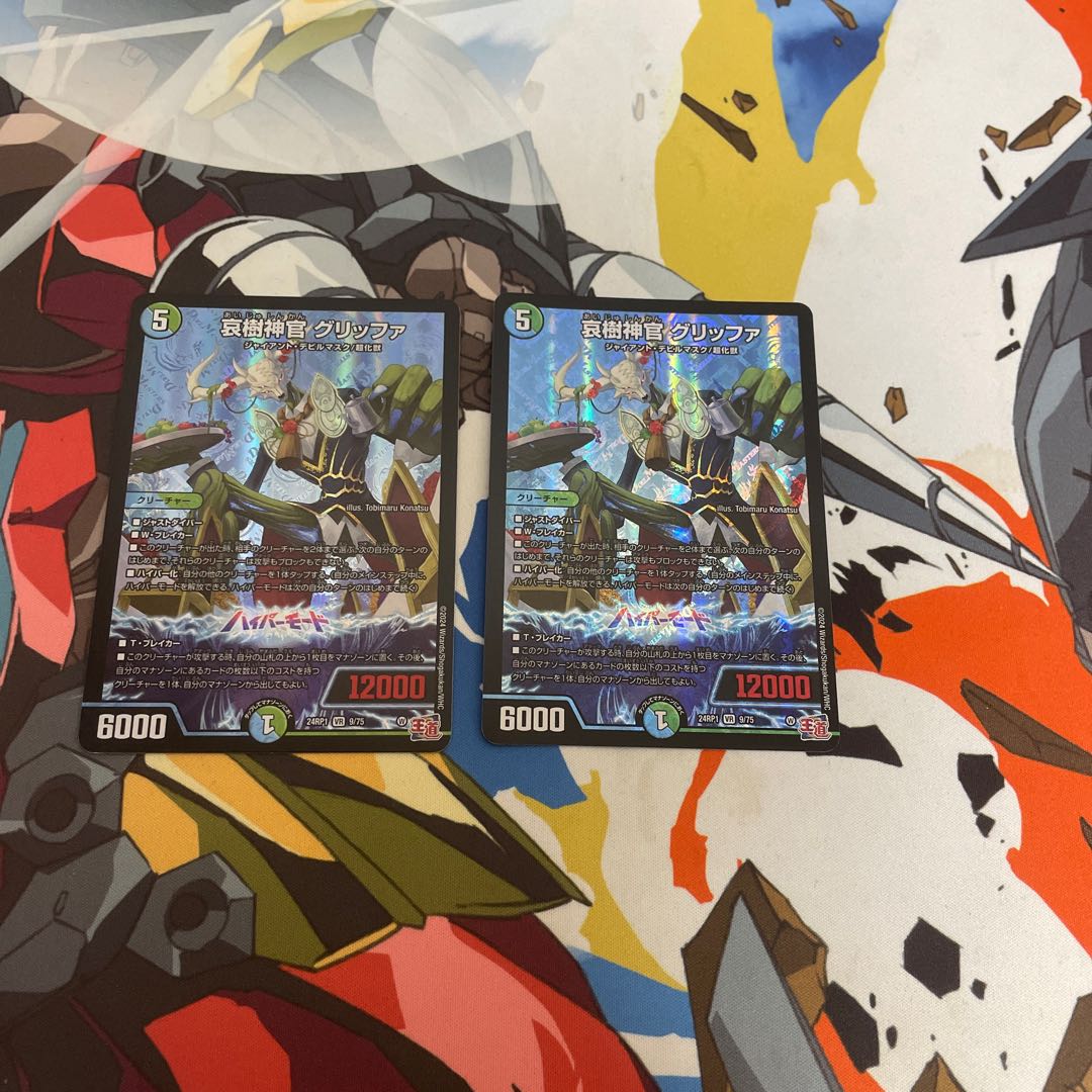 Aiju Priestess Griffa VR 9/75