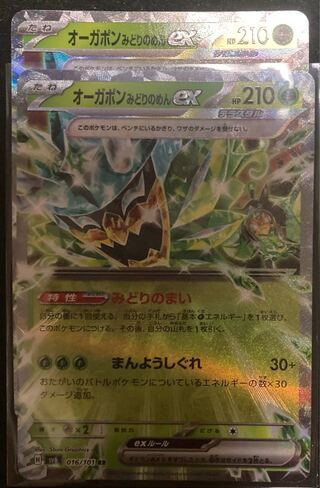 Ogapon Midori-no-men ex RR 016/101