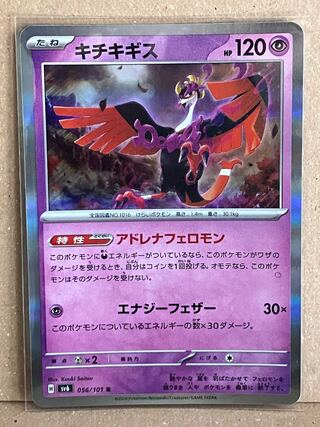 キチキギス R 056/101