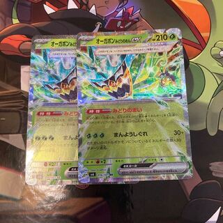 Ogapon Midori-no-men ex RR 016/101