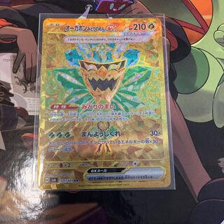 Ogapon Midori-no-men ex UR 131/101