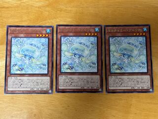 マルチャミー・プルリア レア INFO-JP027