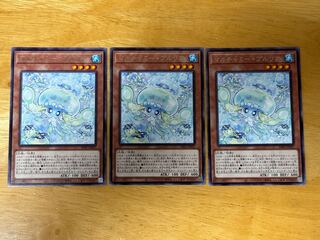 Multyamy Purulia rare INFO-JP027