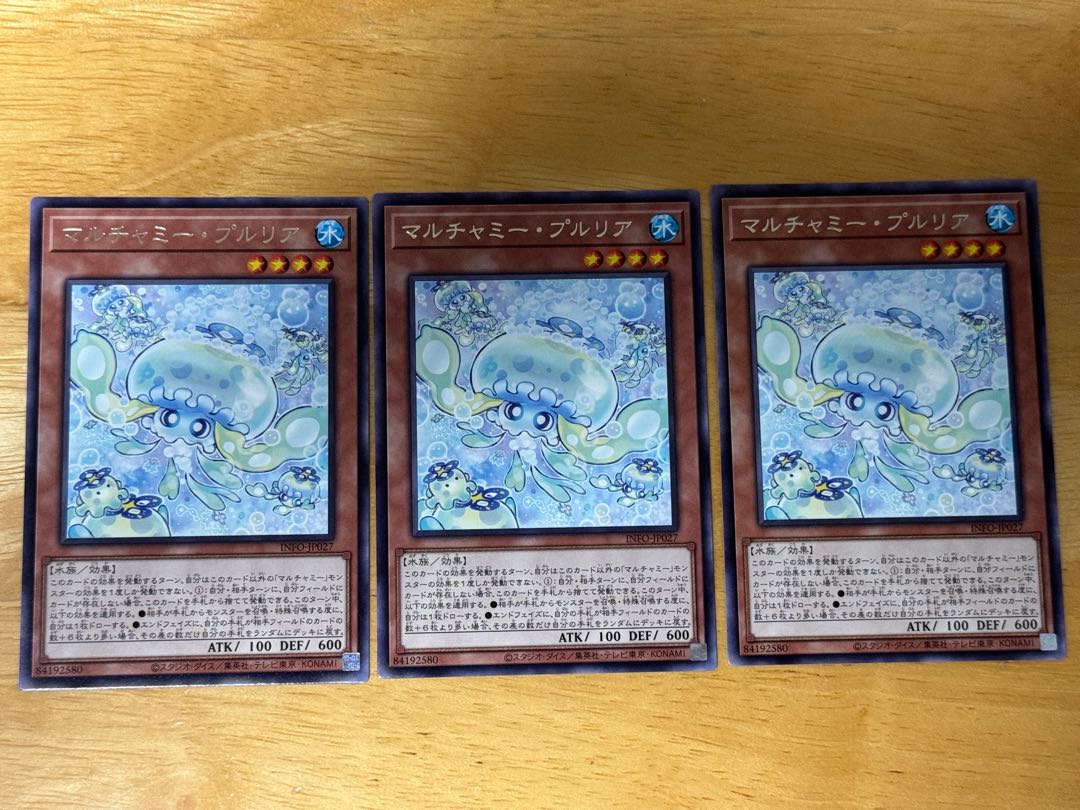 Multyamy Purulia rare INFO-JP027