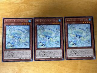 Multyamy Purulia rare INFO-JP027