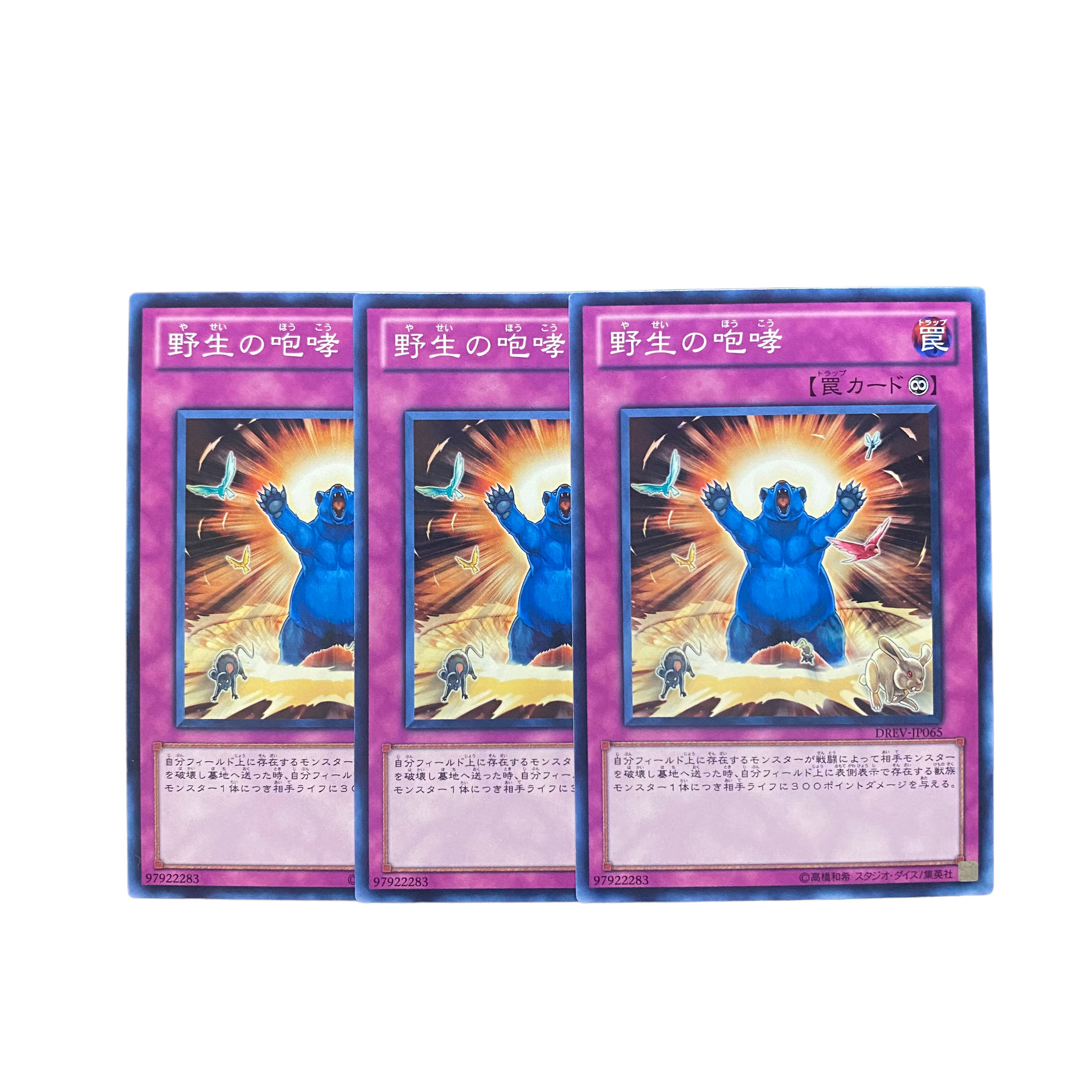 2978【遊戯王】野生の咆哮⦅罠⦆3枚セット