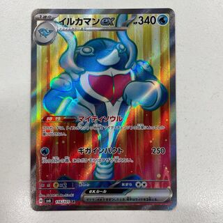 Dolphin man ex SR 116/101