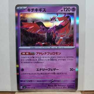 キチキギス R 056/101