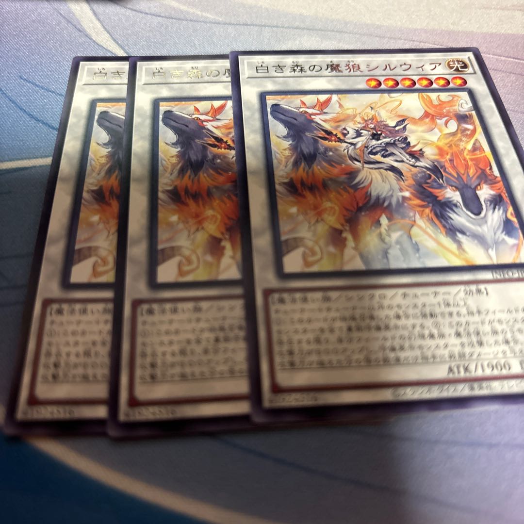 Silwia, the Demon Wolf of the White Forest Rare INFO-JP038