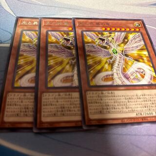 Dragon of Light and Consecrate Rare INFO-JP010