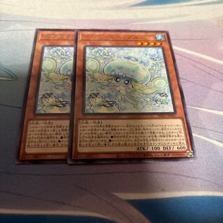 Multyamy Purulia rare INFO-JP027