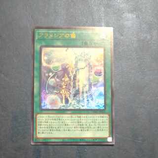 アラメシアの儀　ウルトラレア　JP025  【木林堂】