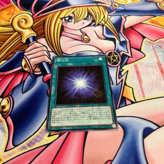 陰の光 ノーマル 23PP-JP006