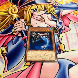 Buzzsaw Shark Rare JP019