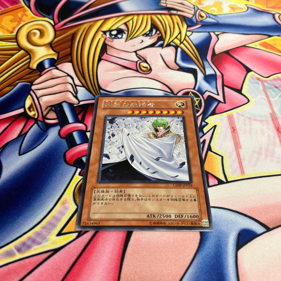 Vanity's Ruler Rare JP024