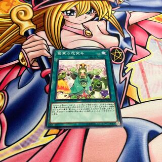 繁華の花笑み ノーマルレア JP072