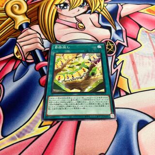 Mejiro pressure Normal Rare PHNI-JP072 1枚